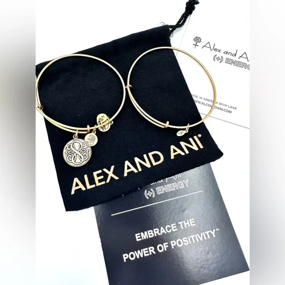 Alex and Ani Bracelet Pack NWT - Picture 4 of 4